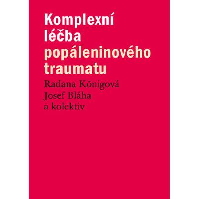 Komplexní léčba popáleninového traumatu
