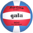 Volejbalové míče Gala Pro-Line Mini BV 4051 S