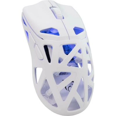 White Shark Dagonet White GM-5019