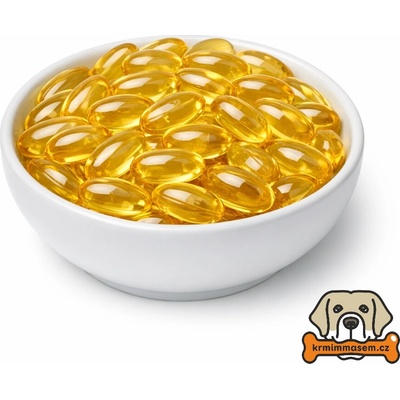 KRMIMMASEM.CZ Omega-3 Vital s vitamínem E 1000 mg pro psy 125 ks