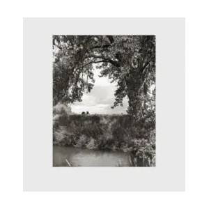Robert Adams: Cottonwoods | Robert Adams (ISBN: 9783958290969)