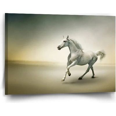 Sablio Obraz Biely kôň 2 - 90x60 cm