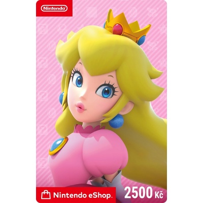 Nintendo dárkový poukaz 2500Kč