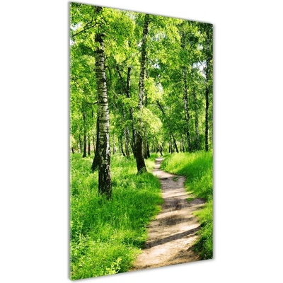 Vertikálny foto obraz fotografie na skle Brezový les 50x100 cm