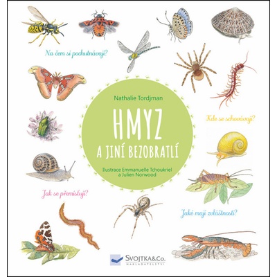 Hmyz a jiní bezobratlí - Judith Gueyfier , Julien Norwood , Natalie Tordjman