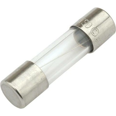 Poistka trubičková F10A, 6.3x32mm CE (100ks)