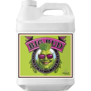  Big Bud 10L - стимулатор на тегло и обем на цвета