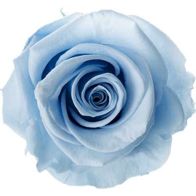 Aneta Light blue - svetlo modrá (Stabilizovaná "večná" ruža v keramickom obale v tvare srdca)
