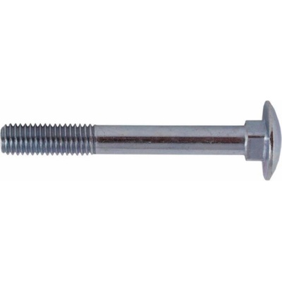Šrouby, DIN 603, M10 x 180 mm, 25 ks.