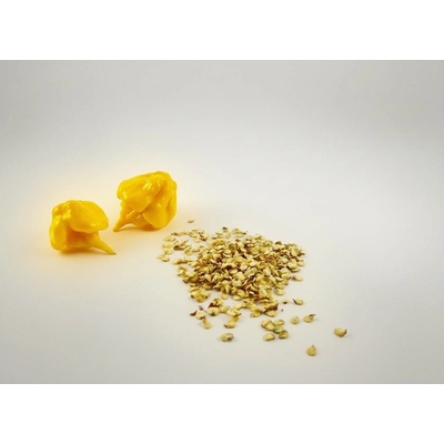 Carolina Reaper Yellow semínka 10 ks