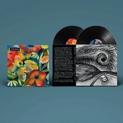 LENKER, ADRIANNE - SONGS AND INSTRUMENTALS LP