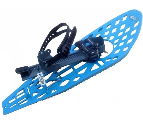 Haven Morpho bigfoot