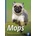 Mops