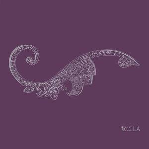 Ecila - The Sofa Managements (LP) (3481575612596)