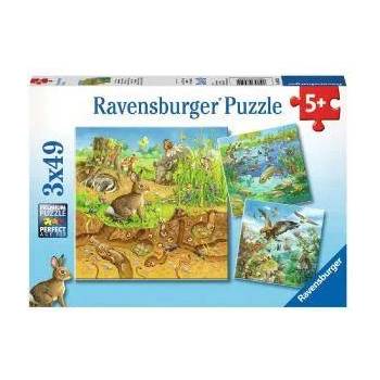 Ravensburger Пъзел Ravensburger 3 х 49 части - Животни в природата, 7008050