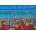 Art Puzzle - Puzzle An Istanbul Tale - 1 000 piese