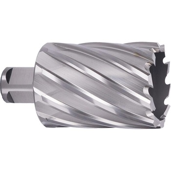 ABSE N-HS-W19-0420050