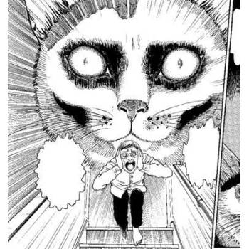 Junji Ito's Cat Diary: Yon & Mu Collector's Edition