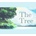 The Tree