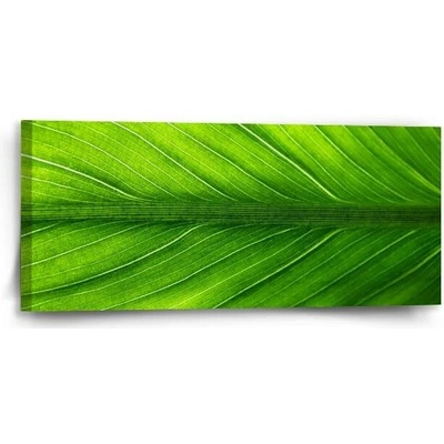 Sablio Obraz List 2 - 110x50 cm