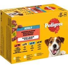 Pedigree Adult mäsový výber v želé 48 x 100 g