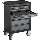VIGOR V5489