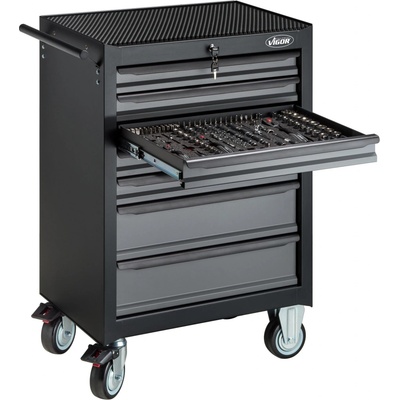 VIGOR V5489