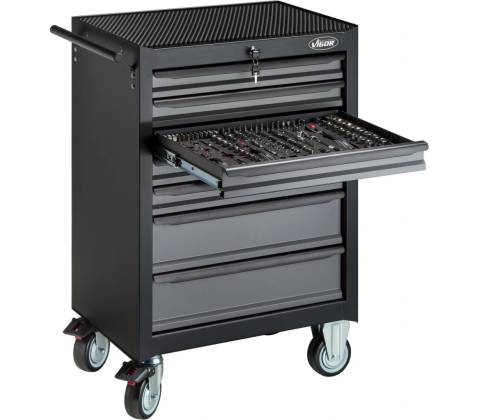 VIGOR V5489