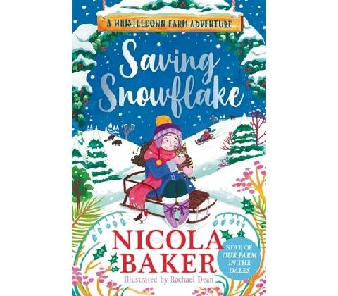 Saving Snowflake