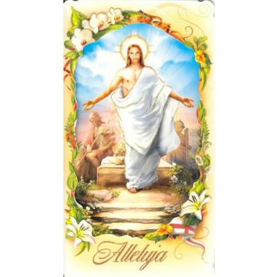 Pozdrav: Alleluja, vzkriesený Kristus a vojaci, flitrovaný - bez textu - DL/3-8
