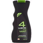 4ward SG 300ml Прясна мента МЪЖЕ