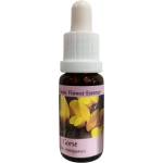 PHI Essences За ново начало - Есенция Прещип № 13, капки 15 ml (13 CLASSIC)