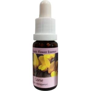 PHI Essences За ново начало - Есенция Прещип № 13, капки 15 ml (13 CLASSIC)