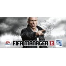 FIFA Manager 13