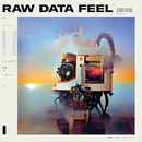 Everything Everything - Raw Data Feel Pi LP