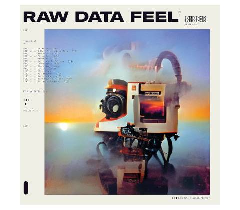 Everything Everything - Raw Data Feel Pi LP