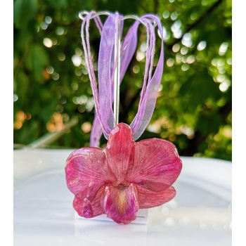 Meganflo Цикламена орхидея