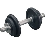 AB-FIT Дъмбел 10 кг (dbs-10)