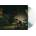 The Plot In You - The Plot In You CD