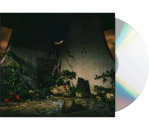 The Plot In You - The Plot In You CD
