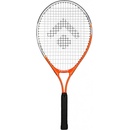 ARTIS STANDARD 25