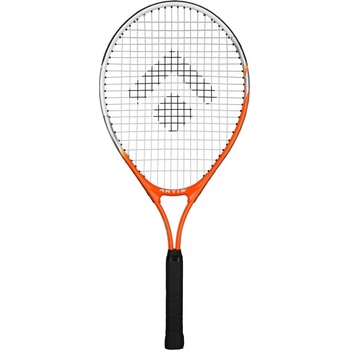 ARTIS STANDARD 25