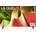 LG OLED65B42