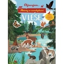 Objavujem... V lese - Svojtka&Co.