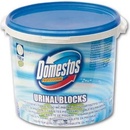 Domestos Pisoar kostky 3 kg 150 ks