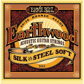Ernie Ball 2045