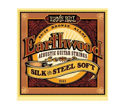 Ernie Ball 2045