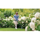 Image 1 of Bosch EasyGrassCut 18-230 (06008C1A03)