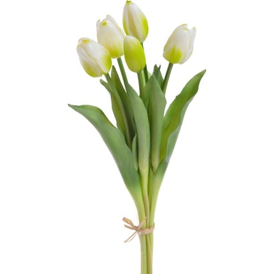 Svazek tulipánů (5 ks) - bílozelená