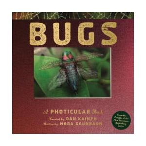 Bugs | KAINEN DAN (ISBN: 9781523532087)